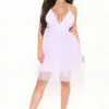 Fashion Nova Emmeline Tulle Mini Dress - Lavender -Fashion Nova Dresses Shop 02 16 22Studio2 14 51 04 61 HMD12558 Lavender 0201 SG