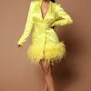 Fashion Nova Brianna Feathered Blazer Dress - Neon Yellow 1 Fashion Nova Brianna Feathered Blazer Dress - Neon Yellow -Fashion Nova Dresses Shop 03 18 22Studio5 SN CP 10 07 42 7 B24360 NeonYellow 1677 EH