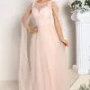 Fashion Nova Sweet Love Tulle Maxi Dress - Blush -Fashion Nova Dresses Shop 05 04 22Studio2 CE DJ 14 08 20 53 M24724 Blush 1629 SG