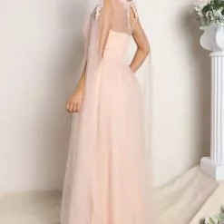 Fashion Nova Sweet Love Tulle Maxi Dress - Blush -Fashion Nova Dresses Shop 05 04 22Studio2 CE DJ 14 09 09 53 M24724 Blush 1634 SG