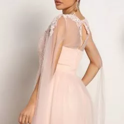 Fashion Nova Sweet Love Tulle Maxi Dress - Blush -Fashion Nova Dresses Shop 05 04 22Studio2 CE DJ 14 09 11 53 M24724 Blush 1637 SG