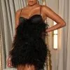Fashion Nova Everything Expensive Feather Mini Dress - Black -Fashion Nova Dresses Shop 06 23 22Studio1 CE KP 14 33 50 26 GWZ441 Black P 0998 SG