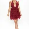 Fashion Nova Petite Looking Cute Tulle Mini Dress - Burgundy -Fashion Nova Dresses Shop 07 07 22Studio2 ME RL 13 58 57 59 VID10327 Burgundy 0501 PB