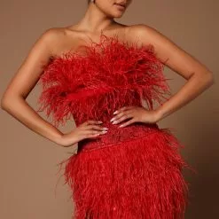 Fashion Nova Emilia Feather Mini Dress - Burgundy -Fashion Nova Dresses Shop 07 07 22Studio5 CE KP 14 29 34 41 GW22X2016 Burgundy 3865 JB