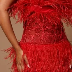 Fashion Nova Emilia Feather Mini Dress - Burgundy -Fashion Nova Dresses Shop 07 07 22Studio5 CE KP 14 29 37 41 GW22X2016 Burgundy 3868 JB