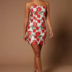 Fashion Nova Fauna Mini Dress - Red/combo