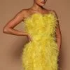 Fashion Nova Lorina Feather Mini Dress - Chartreuse 1 Fashion Nova Lorina Feather Mini Dress - Chartreuse -Fashion Nova Dresses Shop 07 25 22Studio6 ME KP 14 21 45 38 GW22C1115 Chartreuse 9276 JB