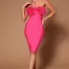 Fashion Nova Brianna Feather Mini Dress - Pink 1 Fashion Nova Brianna Feather Mini Dress - Pink -Fashion Nova Dresses Shop 09 07 22Studio7 CE RL 11 15 27 13 B16971 Pink 0128 PB