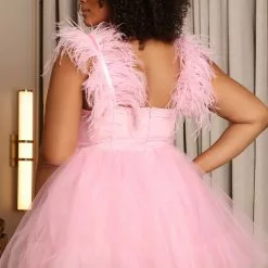 Fashion Nova So In Love Tulle Mini Dress - Pink -Fashion Nova Dresses Shop 09 22 22Studio5 RM CM 11 04 23 9 GW22X2156 Pink 7799 PLUS JB