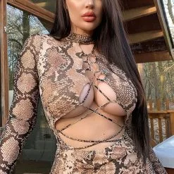 Fashion Nova Brandy Mesh Mini Dress - Brown/combo