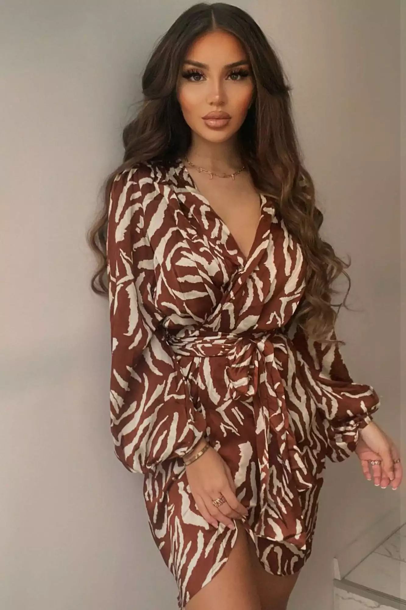 Fashion Nova She's An Animal Mini Dress - Brown/combo 5 Fashion Nova She's An Animal Mini Dress - Brown/combo - Image 3